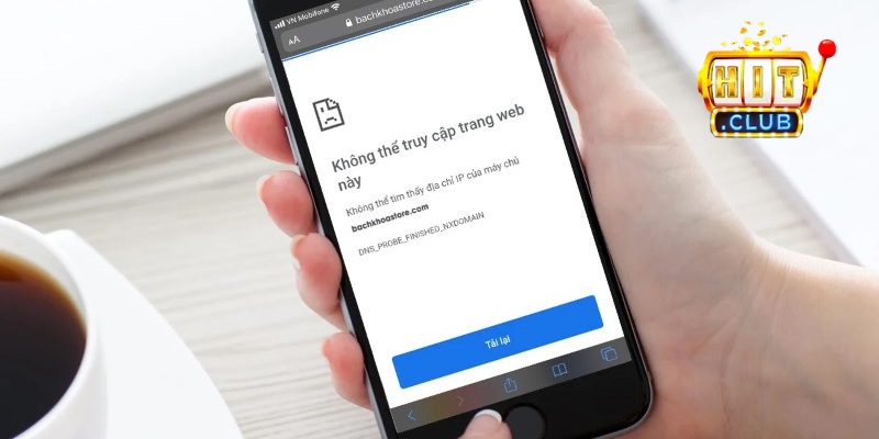 Giấy phép hoạt động